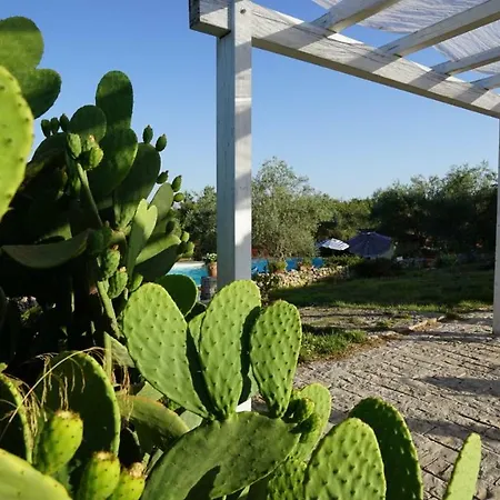 Alloggio per agriturismo Agriturismo Gaia *