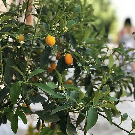Agriturismo Gaia *